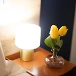 Ostiense بيت ضيافة روما